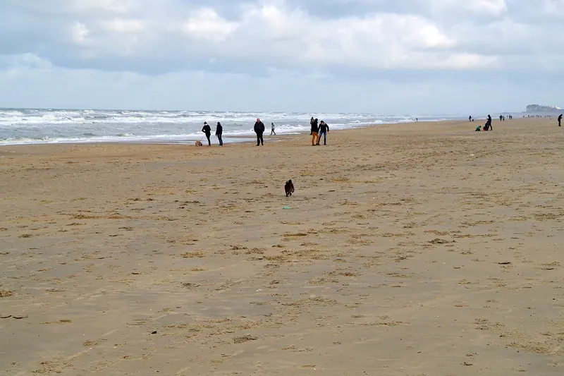 Cairn terrier — Running Terrier Belgium Coast at De Haan, Christmas 2014