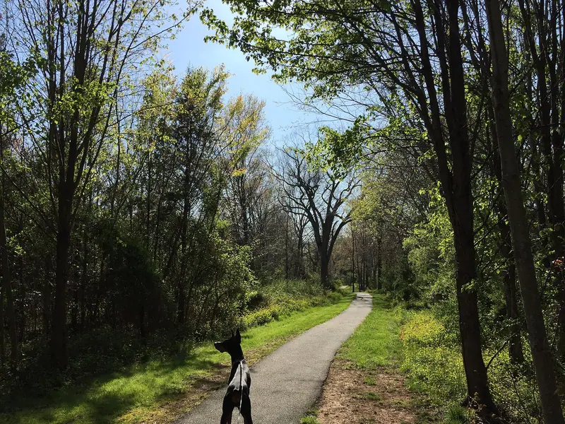 Dobermann — 2016-04-15 16 29 52 Walking path in the Franklin Farm section of Oak Hill, Fairfax County, Virginia