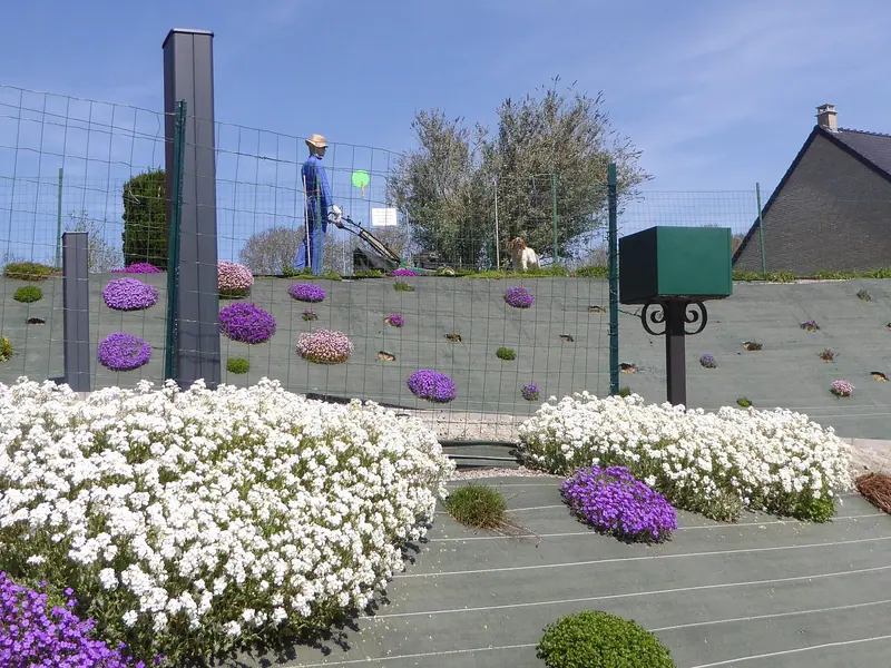 Épagneul français — Moringhem centre ville les Epeutnaerts en 2014 (2)