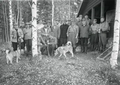 Spitz finlandais — photo de la race